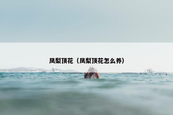 凤梨顶花（凤梨顶花怎么养）