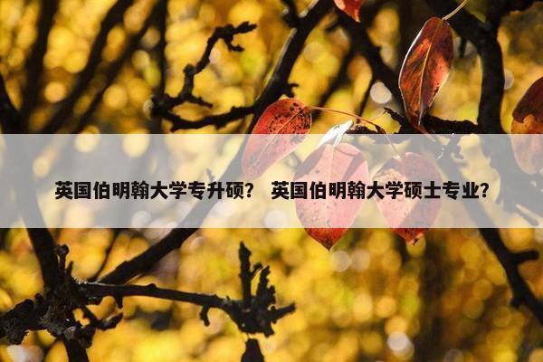 英国伯明翰大学专升硕？ 英国伯明翰大学硕士专业？