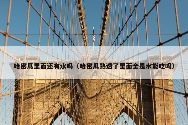 哈密瓜里面还有水吗（哈密瓜熟透了里面全是水能吃吗）