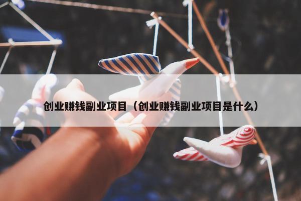 创业赚钱副业项目（创业赚钱副业项目是什么）