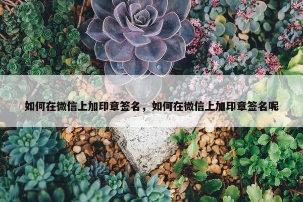 如何在微信上加印章签名，如何在微信上加印章签名呢