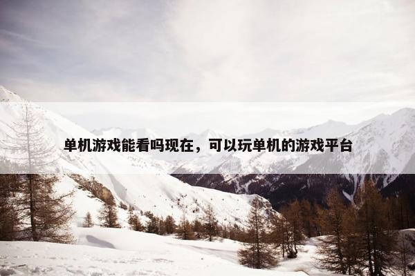 单机游戏能看吗现在，可以玩单机的游戏平台