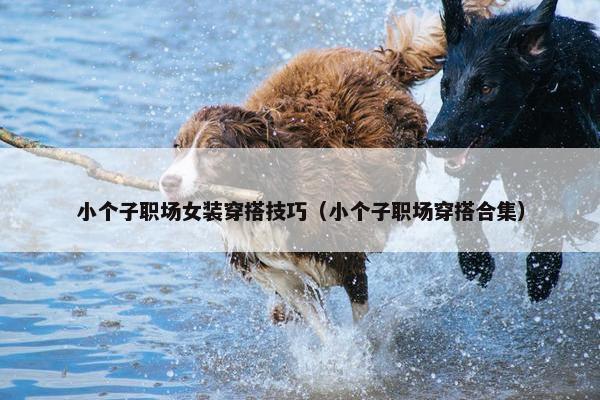小个子职场女装穿搭技巧（小个子职场穿搭合集）