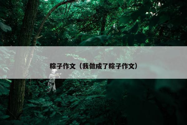 粽子作文（我做成了粽子作文）