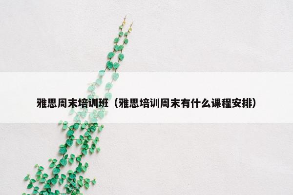 雅思周末培训班（雅思培训周末有什么课程安排）