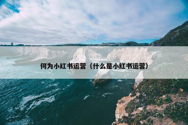 何为小红书运营（什么是小红书运营）