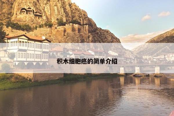 积木细胞癌的简单介绍