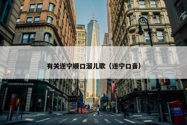 有关遂宁顺口溜儿歌（遂宁口音）