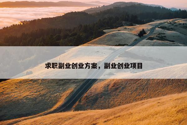求职副业创业方案，副业创业项目