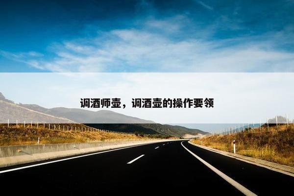 调酒师壶，调酒壶的操作要领