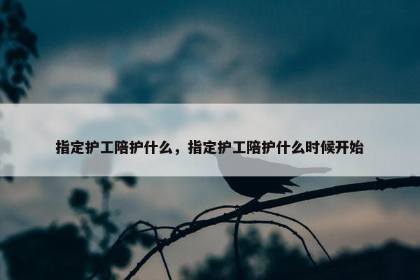 指定护工陪护什么，指定护工陪护什么时候开始