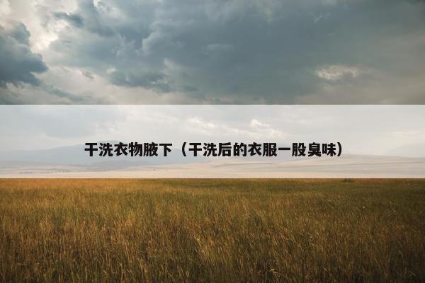 干洗衣物腋下（干洗后的衣服一股臭味）