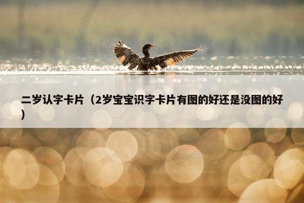 二岁认字卡片（2岁宝宝识字卡片有图的好还是没图的好）