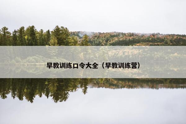 早教训练口令大全（早教训练营）