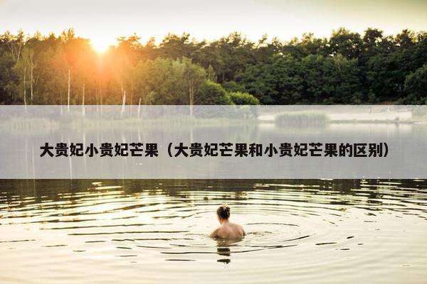 大贵妃小贵妃芒果（大贵妃芒果和小贵妃芒果的区别）