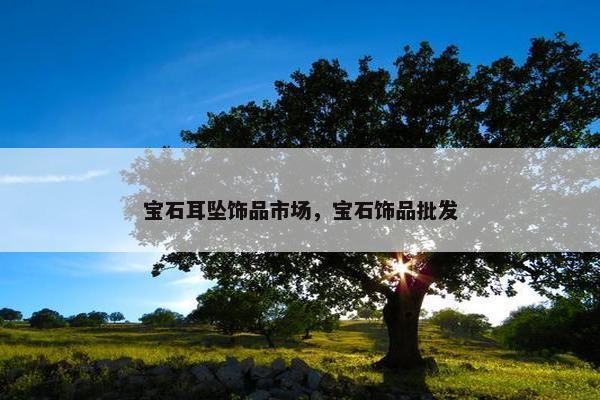 宝石耳坠饰品市场，宝石饰品批发