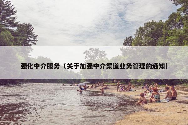 强化中介服务（关于加强中介渠道业务管理的通知）
