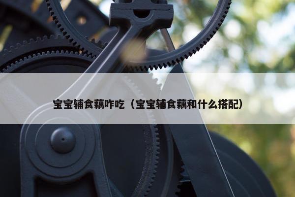 宝宝辅食藕咋吃（宝宝辅食藕和什么搭配）