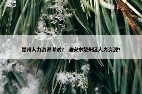 楚州人力资源考试？ 淮安市楚州区人力资源？