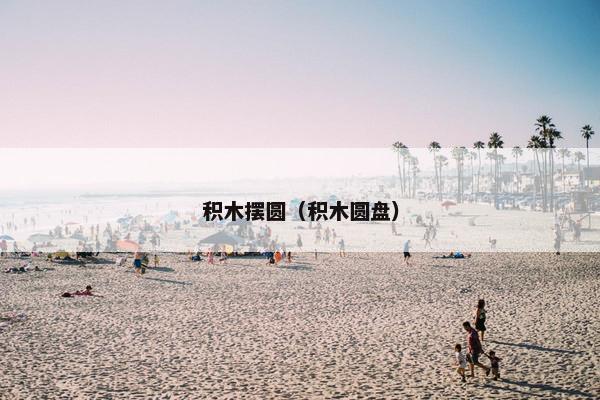 积木摆圆（积木圆盘）