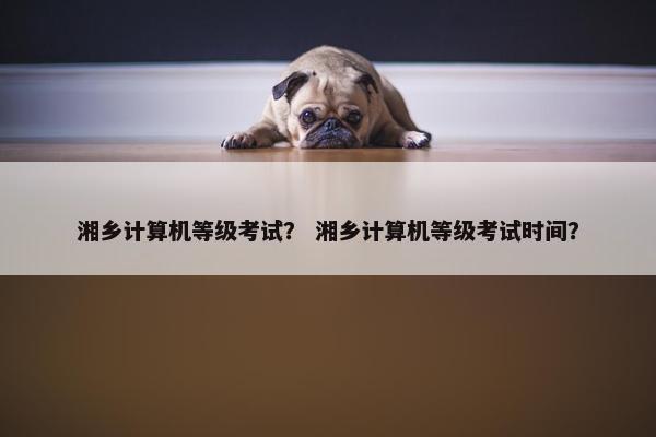 湘乡计算机等级考试？ 湘乡计算机等级考试时间？