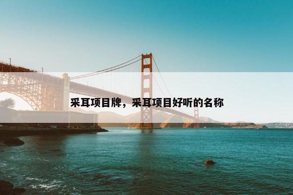 采耳项目牌，采耳项目好听的名称