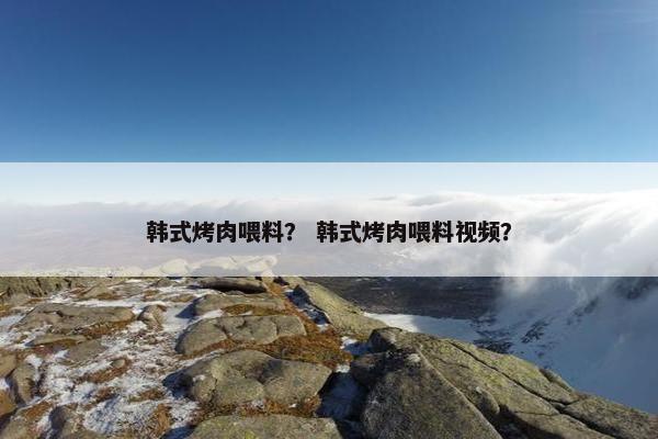 韩式烤肉喂料？ 韩式烤肉喂料视频？