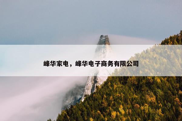 峰华家电，峰华电子商务有限公司