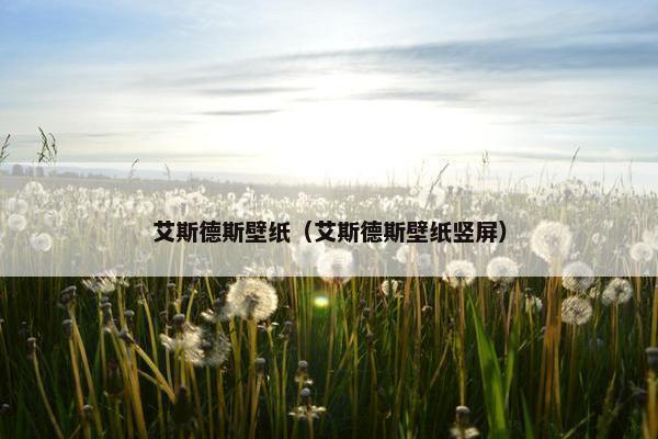 艾斯德斯壁纸（艾斯德斯壁纸竖屏）
