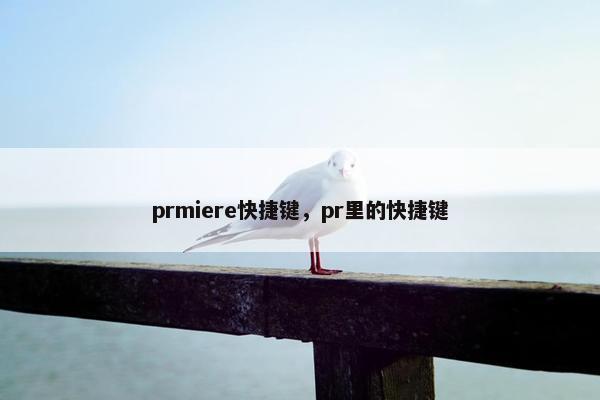 prmiere快捷键，pr里的快捷键