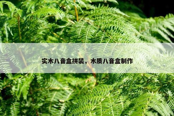 实木八音盒拼装，木质八音盒制作