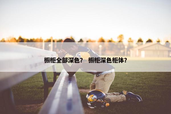 橱柜全部深色？ 橱柜深色柜体？