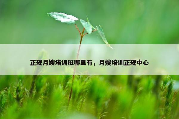 正规月嫂培训班哪里有，月嫂培训正规中心