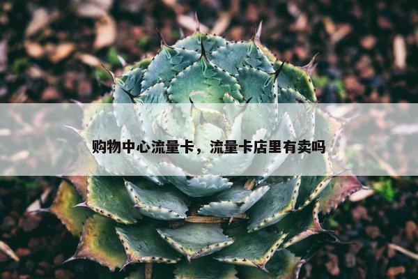 购物中心流量卡，流量卡店里有卖吗
