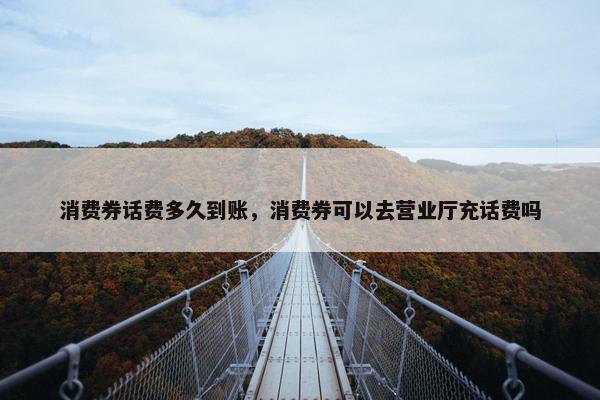 消费券话费多久到账，消费券可以去营业厅充话费吗