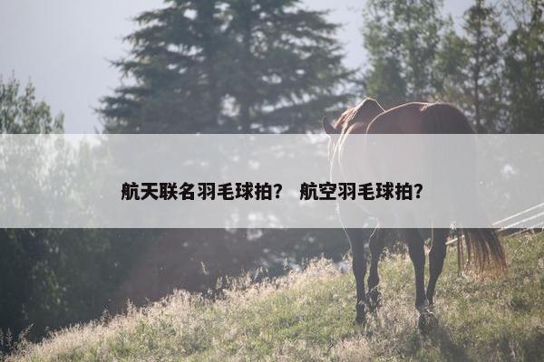 航天联名羽毛球拍？ 航空羽毛球拍？