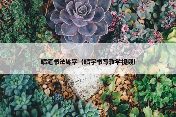 晴笔书法练字（晴字书写教学视频）