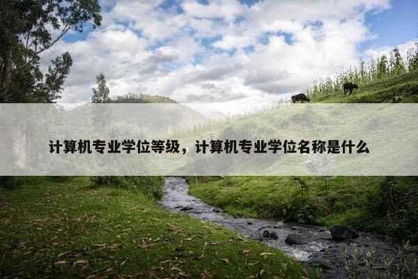 计算机专业学位等级，计算机专业学位名称是什么