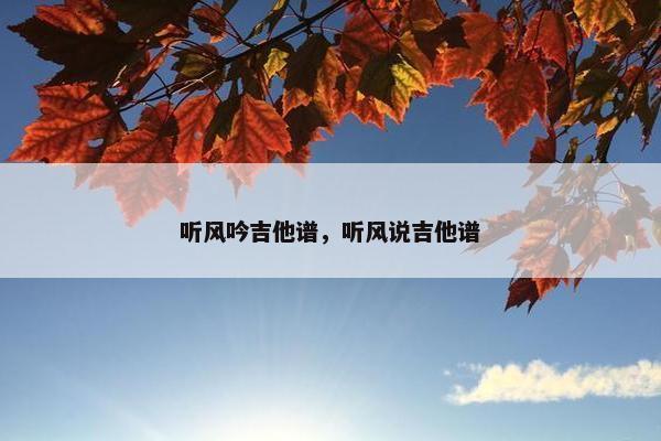 听风吟吉他谱，听风说吉他谱