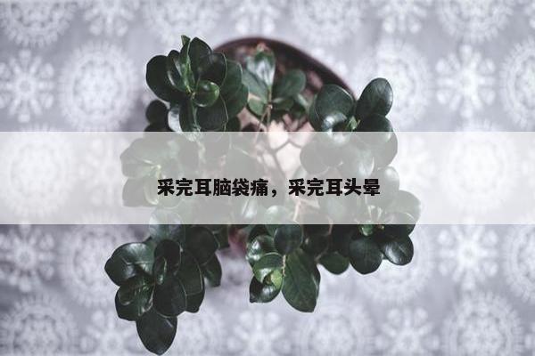 采完耳脑袋痛，采完耳头晕