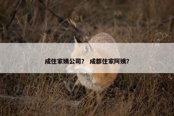 成住家姨公司？ 成都住家阿姨？