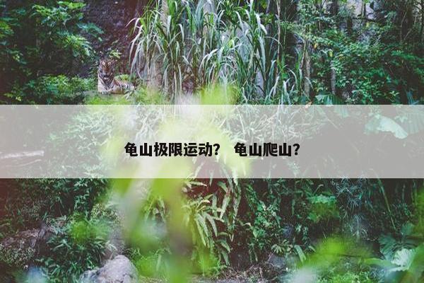龟山极限运动？ 龟山爬山？