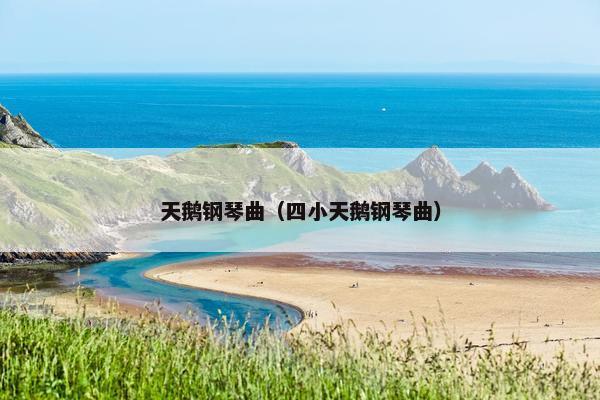 天鹅钢琴曲（四小天鹅钢琴曲）
