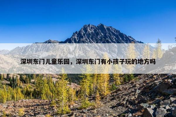 深圳东门儿童乐园，深圳东门有小孩子玩的地方吗