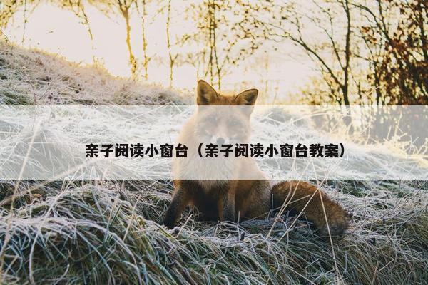亲子阅读小窗台（亲子阅读小窗台教案）