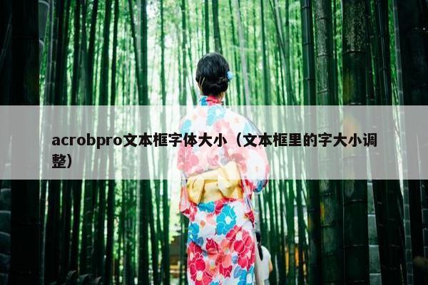 acrobpro文本框字体大小（文本框里的字大小调整）