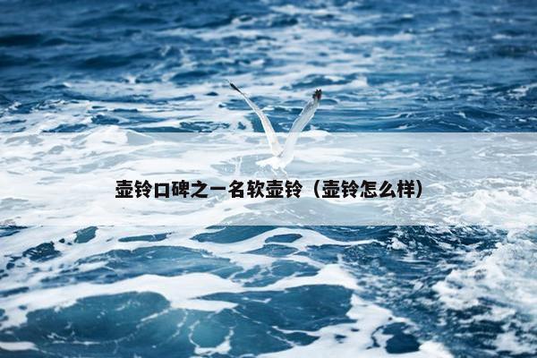 壶铃口碑之一名软壶铃（壶铃怎么样）