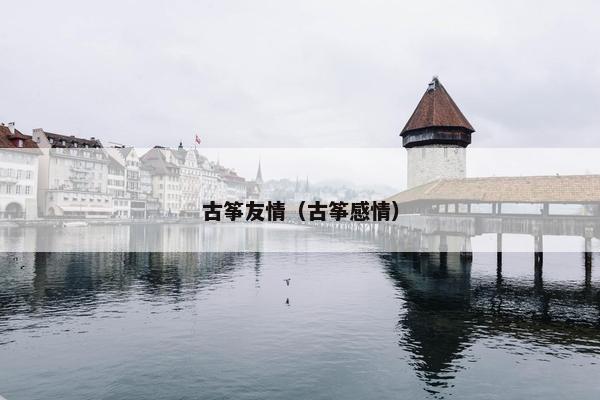 古筝友情（古筝感情）