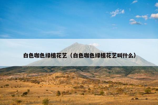 白色咖色绿植花艺（白色咖色绿植花艺叫什么）
