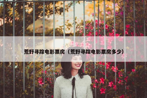 荒野寻踪电影票房（荒野寻踪电影票房多少）